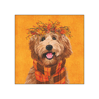 Dudley • Beverage Napkins