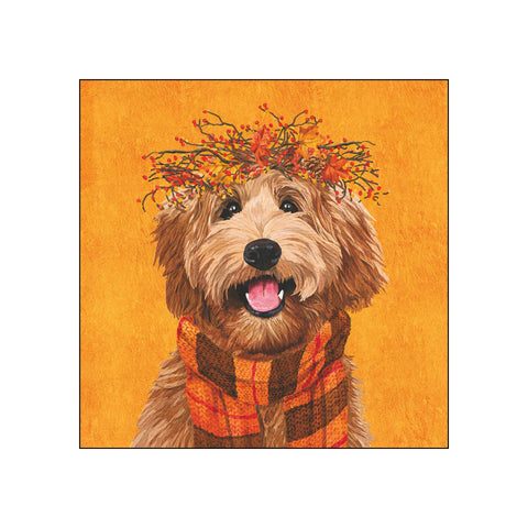 Dudley • Beverage Napkins