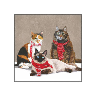 Scarf Cats • Beverage Napkins