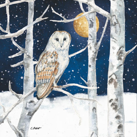 Winter Owl • Beverage Napkins