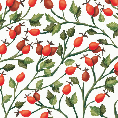 Rose Hips • Beverage Napkins