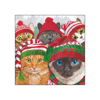 Cat Usie • Beverage Napkins