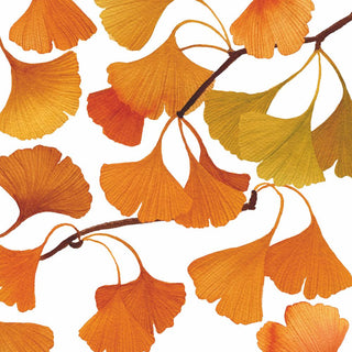 Gingko • Beverage Napkin