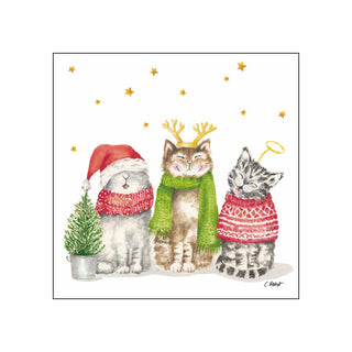 Sacred Cats • Beverage Napkins