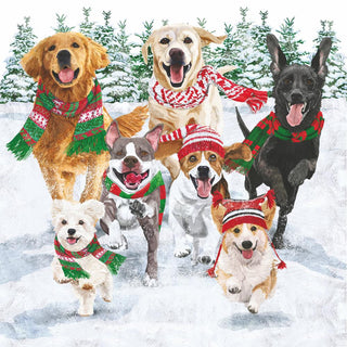 Snow Hounds • Beverage Napkin
