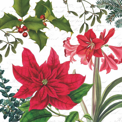 Christmas Plants, white • Beverage Napkins