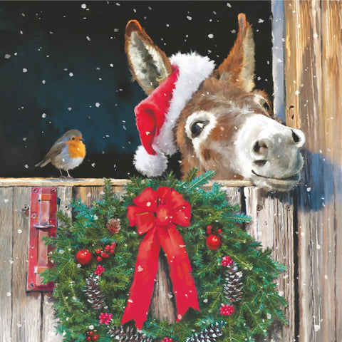Friends with Donkey • Beverage Napkins