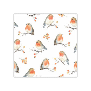 Robin Family • Beverage Napkins