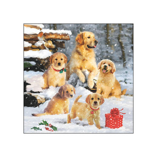 Golden Retriever Puppies • Beverage Napkins