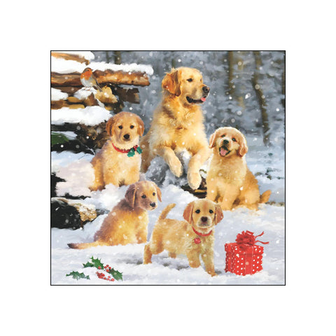 Golden Retriever Puppies • Beverage Napkins