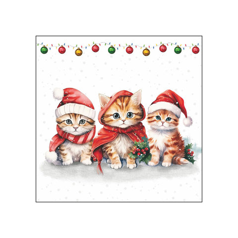 Funny, Cute Kittens • Beverage Napkins