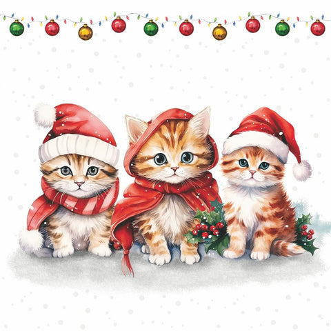 Funny, Cute Kittens • Beverage Napkins
