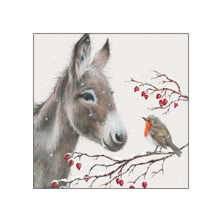 Donkey and Robin • Beverage Napkins