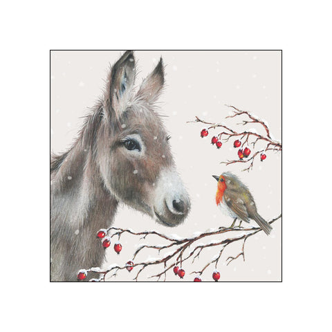 Donkey and Robin • Beverage Napkins