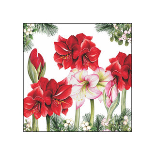 Blooming Amaryllis, white • Beverage Napkins
