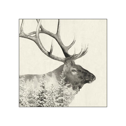 Majestic Elk • Beverage Napkins