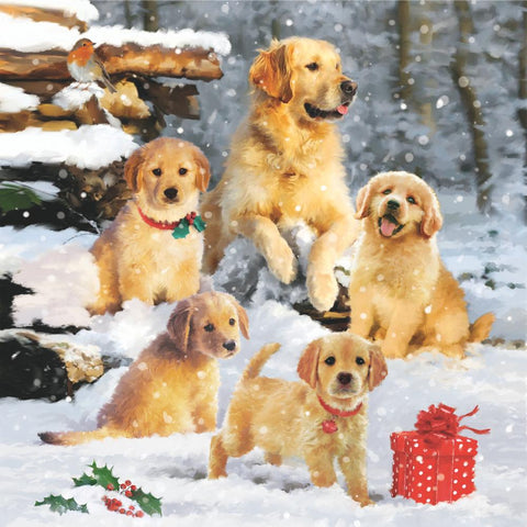 Golden Retriever Puppies • Lunch Napkins