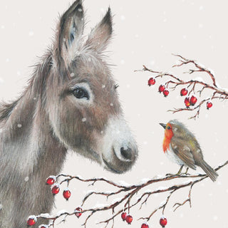 Donkey and Robin • Lunch Napkins