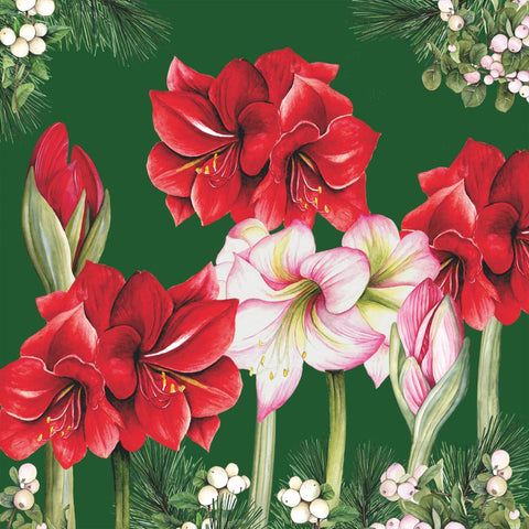 Blooming Amaryllis, green • Lunch Napkins