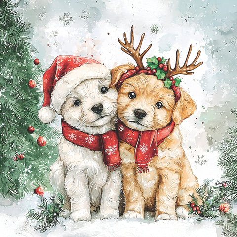 Cody & Buddy • Lunch Napkin