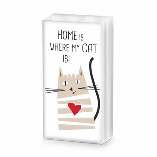 Home Cat Sniff Tissues
