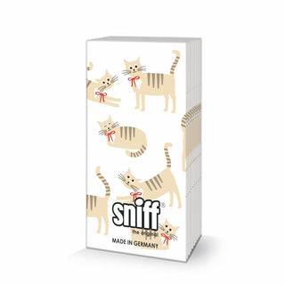 Cat Story • Sniff