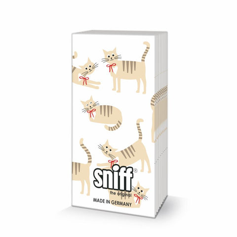 Cat Story • Sniff