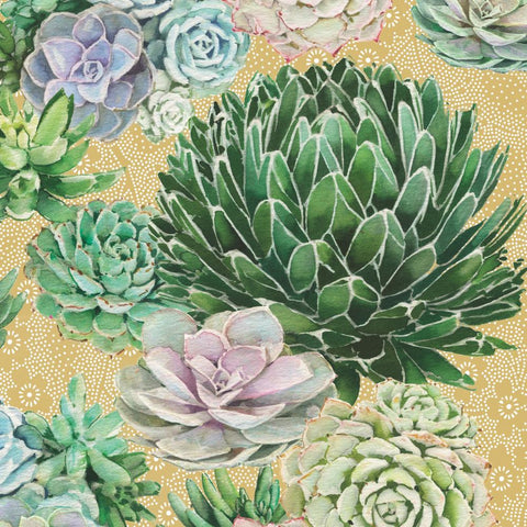 Succulents