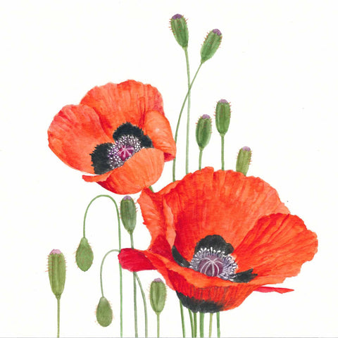 Poppies Beverage Napkin