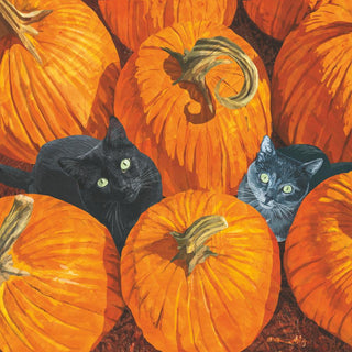 Pumpkin Patch Cats Lunch Napkins