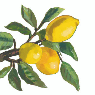 Lemon Musée, white