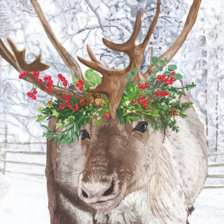 Blitzen beverage napkin