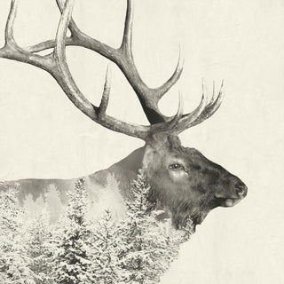 Majestic Elk beverage napkin